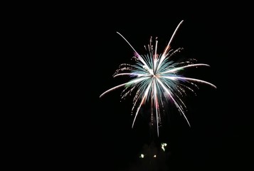 《大曲の花火》秋田県大仙市