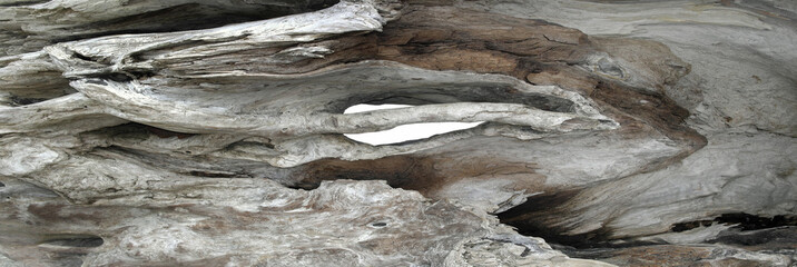 Driftwood texture