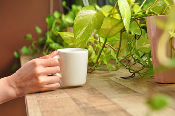 cup coffee in a cafe