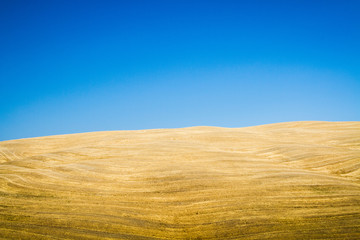 hills sky and  wheat 