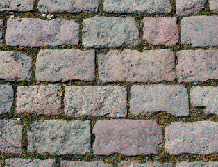 Paving slabs with grass.