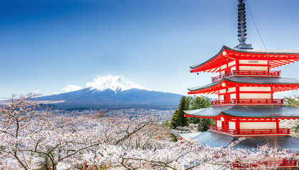  Chureito Pagoda and Mt. Fuji in the spring with cherry blossoms.