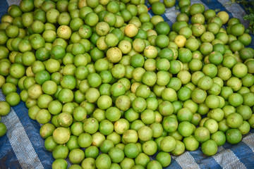 Fresh green lemon lime for sale in the local market