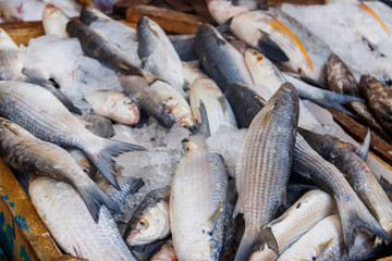 Fresh raw fish in fish market