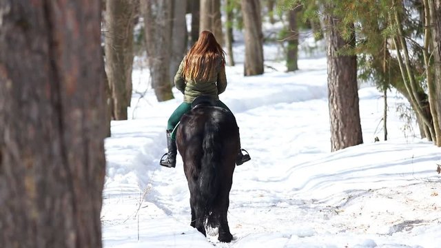 A woman walking on a horse in a winter forest on a snowy path