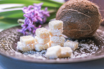 Coconut sweet candy. Recipes for healthy sweets