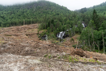 Waldrodung für Bau von Ferienhütten in Norwegen
