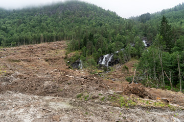 Waldrodung f&uuml;r Bau von Ferienh&uuml;tten in Norwegen