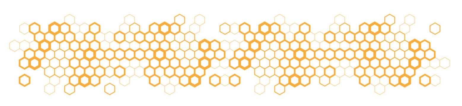 Hexagons / honeycomb