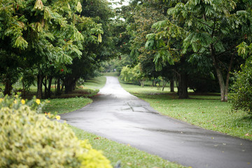 Royal Botanical Garden is a must see place in Kandy, and a very popular among tourists.