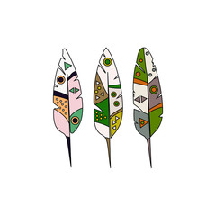 Three colored bird feathers on white background