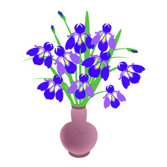 Spring flowers purple irises, bouquet in a vase on a white background, close-up