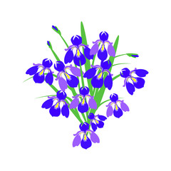 Fototapeta na wymiar Spring flowers purple irises, bouquet on a white background, close-up
