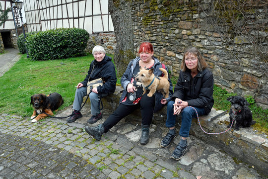 Angeleint Bilder Durchsuchen 483 Archivfotos, und