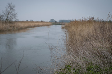 Canal through reed beds