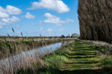 Canals and reed beds