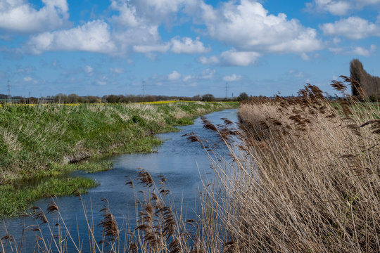 Canals And Reed Beds