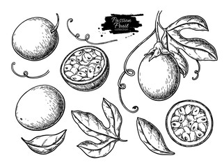 Passion fruit vector drawing set. Hand drawn tropical food illustration. Engraved summer passionfruit - obrazy, fototapety, plakaty