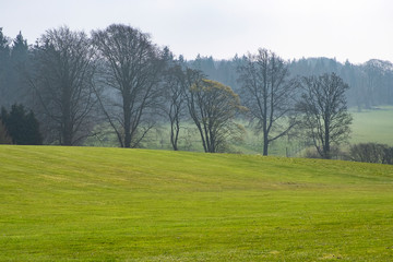 Plakat Tree lined horizon and countryside