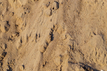 Construction sand as an abstract background