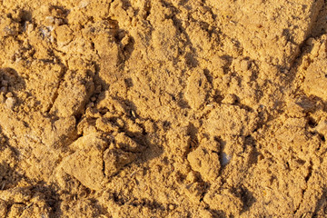 Construction sand as an abstract background