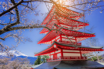  Chureito Pagoda and Mt. Fuji in the spring with cherry blossoms.