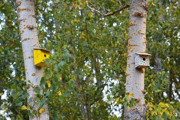 Dos cajas nido de aves en árboles