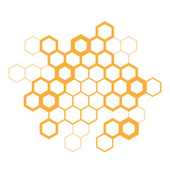 Hexagon / Honeycombs