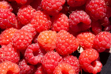 raspberries on wooden background