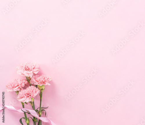 Beautiful fresh blooming baby pink color tender carnations isolated on bright pink background, mothers day thanks design concept,top view,flat lay,copy space,close up,mock up