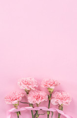 Naklejka na ściany i meble Beautiful fresh blooming baby pink color tender carnations isolated on bright pink background, mothers day thanks design concept,top view,flat lay,copy space,close up,mock up