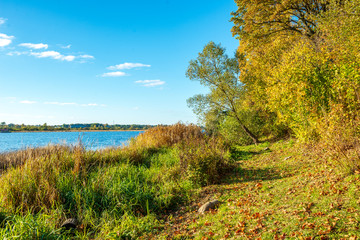 Obraz premium autumn golden colored park with trees and sun rays