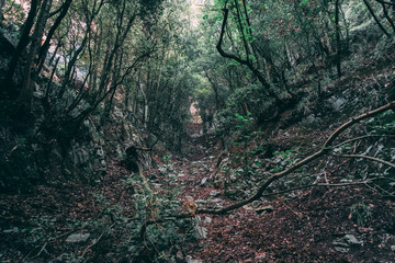 Paesaggi del Sentiero degli Dei a Positano