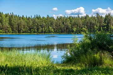 scenic forest lake in sunny summer day with green foliage and shadows