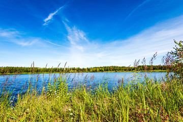 scenic forest lake in sunny summer day with green foliage and shadows