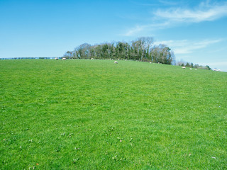  wide angle shoot cloudy spring countryside morning,Northern Ireland