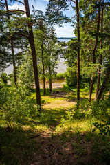 scenic forest lake in sunny summer day with green foliage and shadows