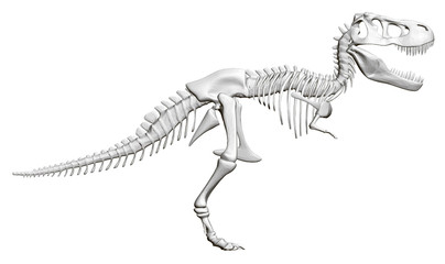 Dinosaur skeleton. Side view. 3D. Vector illustration