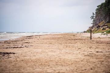 empty sea beach before storm with dramatic clouds and shadows from trees on the sand