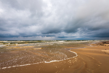 empty sea beach before storm with dramatic clouds and shadows from trees on the sand