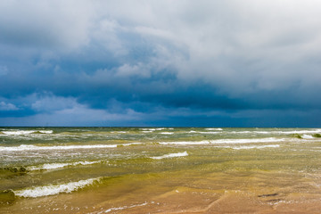 empty sea beach before storm with dramatic clouds and shadows from trees on the sand