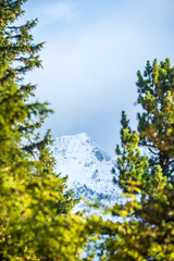 mist rising from valleys in forest in slovakia Tatra mountains