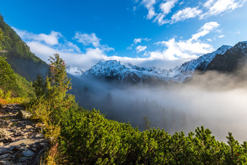 mist rising from valleys in forest in slovakia Tatra mountains