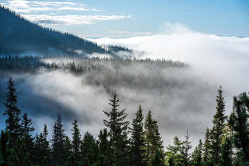 mist rising from valleys in forest in slovakia Tatra mountains