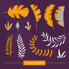 Floral exotic elements in modern style. Vector illustration