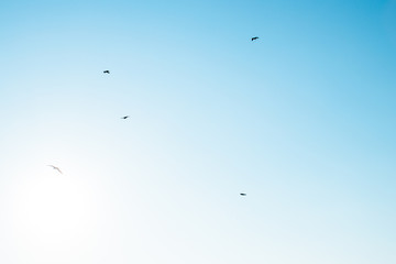 江の島の空