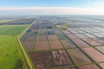 Fototapeta premium Flooded rice paddies. Agronomic methods of growing rice in the f