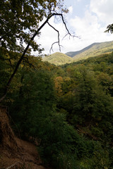 valley of the river Zhane, Gelendzhik, Russia
