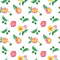 Watercolor colorful seamless pattern with spring pink, yellow and red flowers on a white background. Illustration.