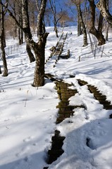 大雪に埋まる木道